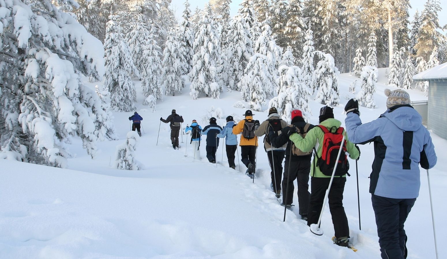 fin-de-ano-en-kuusamo-laponia